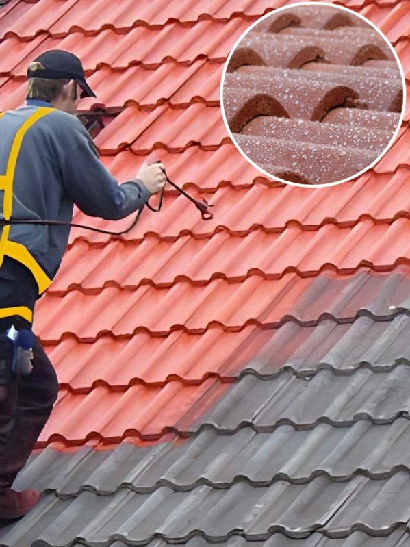 Nettoyage démoussage de toiture à Louhans 71500