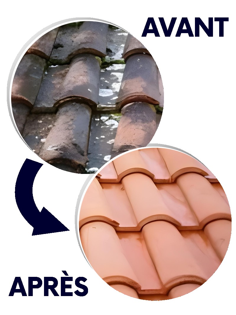 Peinture de toiture toutes tuiles Louhans 71500